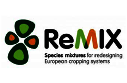 Logo ReMIX